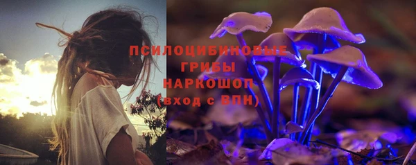 твердый Алзамай