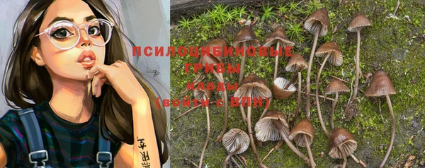 метамфетамин Алексин