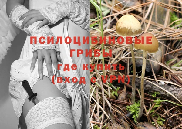 МДПВ Алексеевка