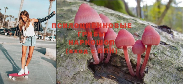 твердый Алзамай